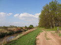 Cesta po levém břehu Kyjovky u malého lesa.