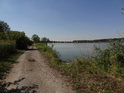 Cesta po levém břehu Kyjovky u Písečného rybníka.