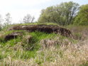 Zarůstající řopík na levém břehu Kyjovka nedaleko jejího soutoku s řekou Dyjí.