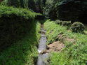 Kyjovka je sice řeka, ale to platí spíše až když vstoupí do luhů pod Lanžhotem, ve Starých Hutích je to jen takový menší potok.